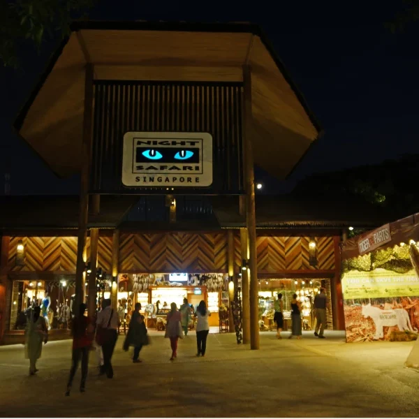 Night Safari – Singapore