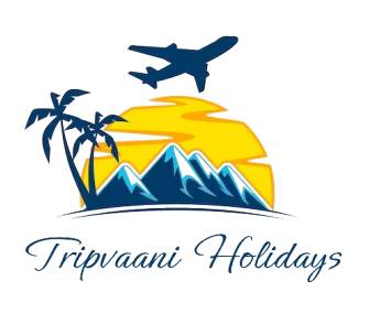 tripvaani_logo__3_-removebg-preview